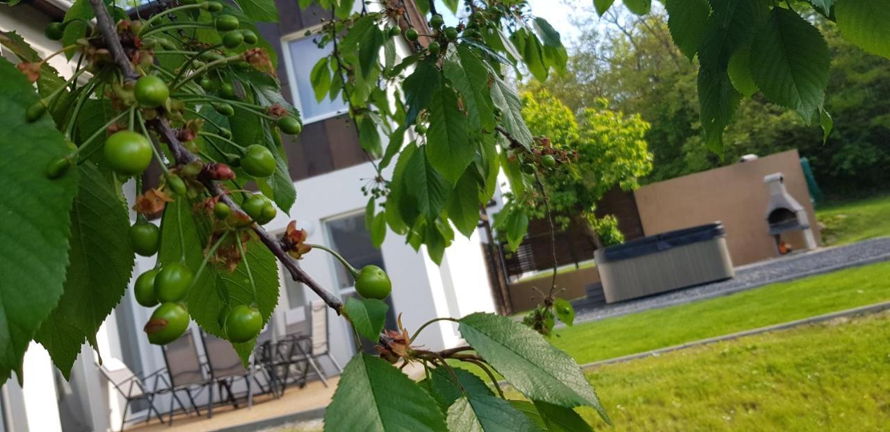 Kenese-Voelgye Villahotel Balatonkenese Eksteriør billede