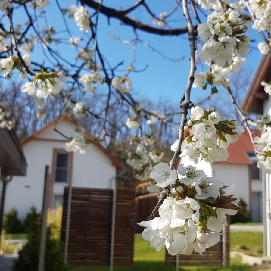Kenese-Voelgye Villahotel Balatonkenese Eksteriør billede